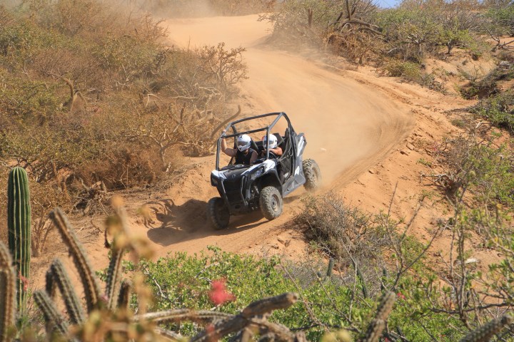 Two people in a dune buggy driving on a sandy desert trail with cacti.
