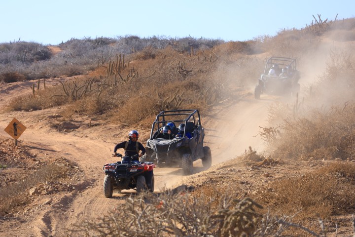 ATVs and off-road vehicles on a dusty desert trail with dry bushes.