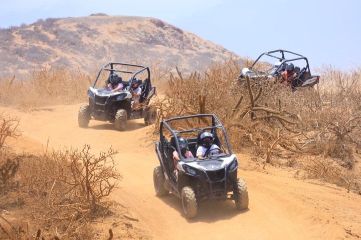 Three ATVs driving on a sandy trail surrounded by dry bushes.