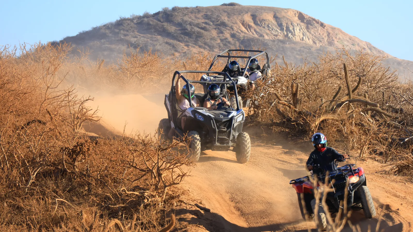 Ropa Camisas Estampadas De Caballos Camisa Casual Hombre Estampado  Geométrico Caballo Temu Uruguay, image size:1600x900