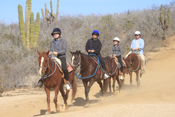 Four people horseback riding on a sandy trail with cacti in the background.