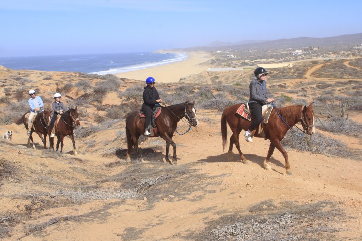 Four people riding horses on a sandy trail near the ocean under a clear blue sky.