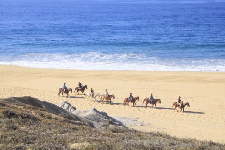 Group horseback riding along a sandy beach with waves in the background.