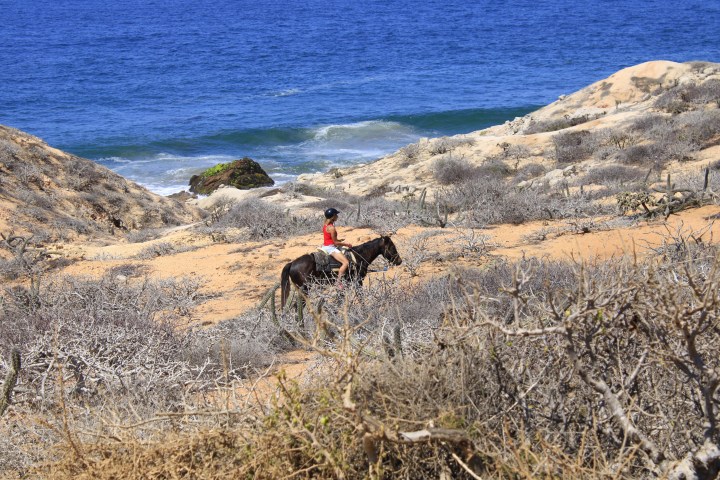 Person riding a horse on a sandy desert path with ocean in the background.