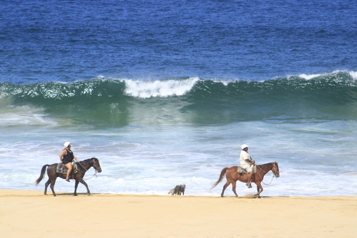Two people riding horses on a beach with a dog and large waves in the background.