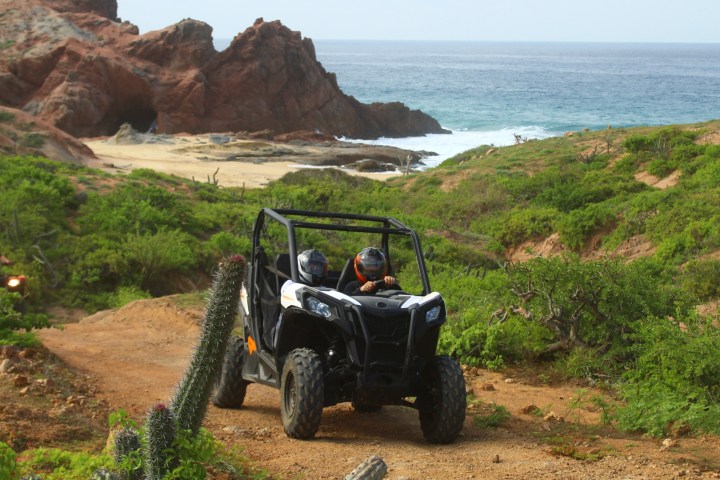 Two people ride an off-road vehicle on a dirt path by the ocean, surrounded by green bushes and rocky cliffs.