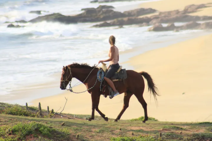 Person riding a horse along a coastal cliff with ocean in background.