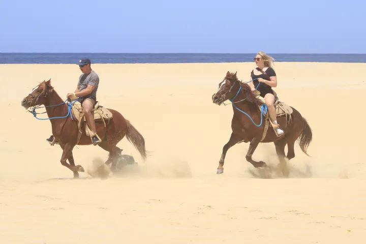 Two people riding horses on a sandy beach with ocean in the background.